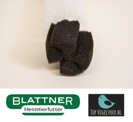 Fontein borstel klein met schuimborstel (Reinigungsbürste klein mit Schaumstoffspitze)