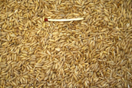 Blattner Graines de Avoine Décortiquée 2,5kg (Hafer geschält)