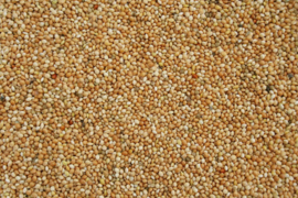 Blattner Yellow Millet 1kg (Gelbe Hirse)