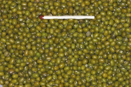 Blattner Mung Beans 5kg (Mungbohnen)