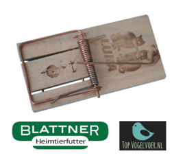 Mousetrap Luna (Mausefalle mit Holzwippe - Luna)