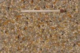 Blattner Germinating Seeds Gouldian Finch Amadinen Special 2,5kg (Keimfutter-Amadinen-Spezial)