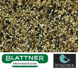 Blattner Distelvink Majoor Italia 15kg (Stieglitz-Major Italia)