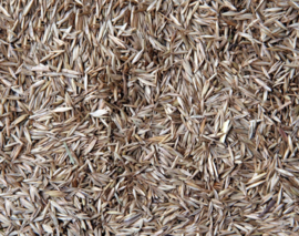 Blattner Miscela Semi di Erba 1kg (Grassamenmischung)