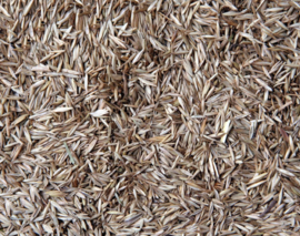 Blattner Grass Seeds Mix Extra 1kg (Grassamenmischung)