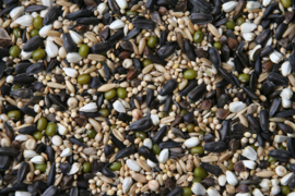 Blattner Germination Seeds Small Parakeet  1kg (Keimfutter für Kleinsittiche)