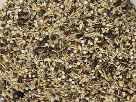 Blattner Goldfinch Major Light 2,5kg NeW!! (Stieglitz-Major-Light)