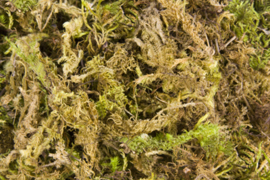 Nesting Material Moss 6 liter (Moos (6 liter)