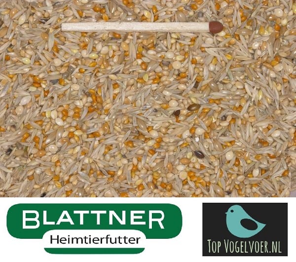 Blattner Astrild Spécial 2,5kg (Astrilden-Spezial)