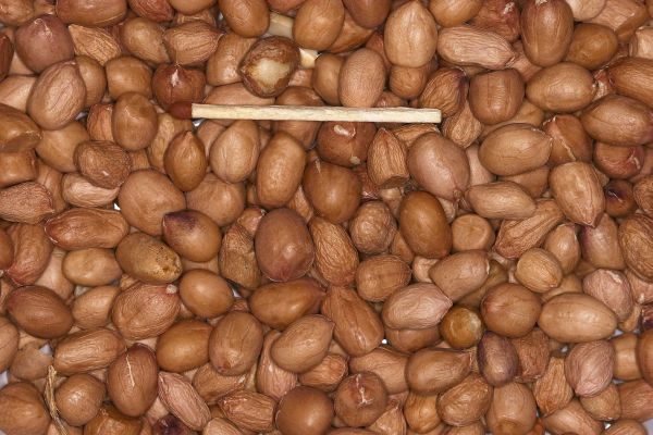Blattner Erdnüsse geschält ganz (1 kg)