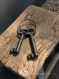 2 sleutels aan ring | Bruin