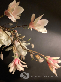 Magnolia tak | licht roze