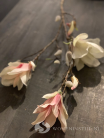 Magnolia tak | licht roze