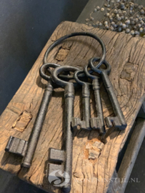 5 sleutels aan ring | Bruin