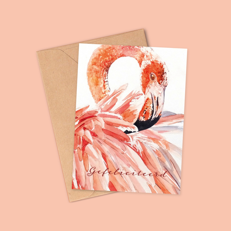 Postkaart | Flamingo | Gefeliciteerd