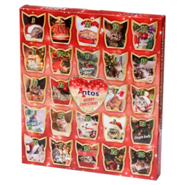 Kerst Adventskalender voor Katten