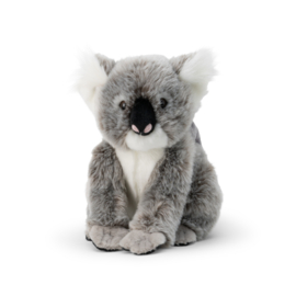 Kala The Koala Met Baby Joey Natuurgetrouwe Koalaknuffel
