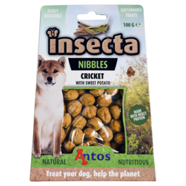 Insecta Nibbles – Krekel & Zoete Aardappel Insecten Snacks