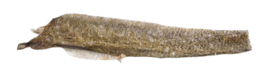 Fish D'light Salmon Skin Zalmhuid Zalmsticks Vis Natuurlijke Hondensnack Gedroogde Zalm Hond Snack