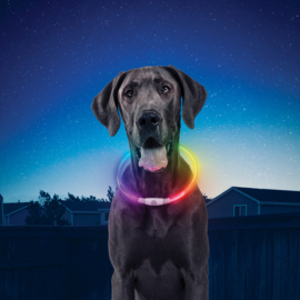 Luxe Oplaadbare Multicolor XL Led Honden Halsband + Oplaadkabel Lichtgevende Disco Voor Grote Hond