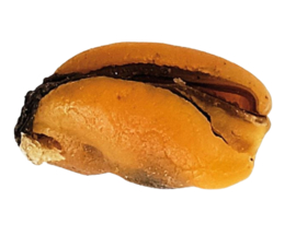 6 x 100% Mosselen Honden Snacks Fish D'light Mussels Natuurlijke Mossels Hondensnacks Hypoallergeen