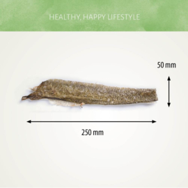 Fish D'light Salmon Skin Zalmhuid Zalmsticks Vis Natuurlijke Hondensnack Gedroogde Zalm Hond Snack