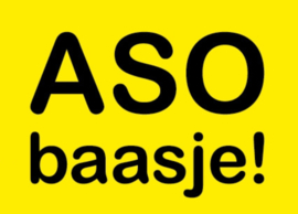 200 x Aso Baasje! Hondenpoep Vlaggetjes Poepvlaggetjes Poepprikkers Vlaggetje Honden Poep Prikkers