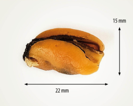 6 x 100% Mosselen Honden Snacks Fish D'light Mussels Natuurlijke Mossels Hondensnacks Hypoallergeen