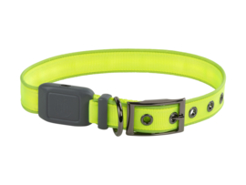 Night Dog Lichtgevende LED Honden Halsband Geel - Maat M