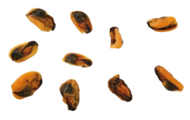 6 x 100% Mosselen Honden Snacks Fish D'light Mussels Natuurlijke Mossels Hondensnacks Hypoallergeen