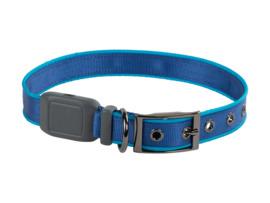 Night Dog Lichtgevende LED Honden Halsband Blauw - Maat S