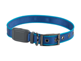 Night Dog Lichtgevende LED Honden Halsband Blauw - Maat M
