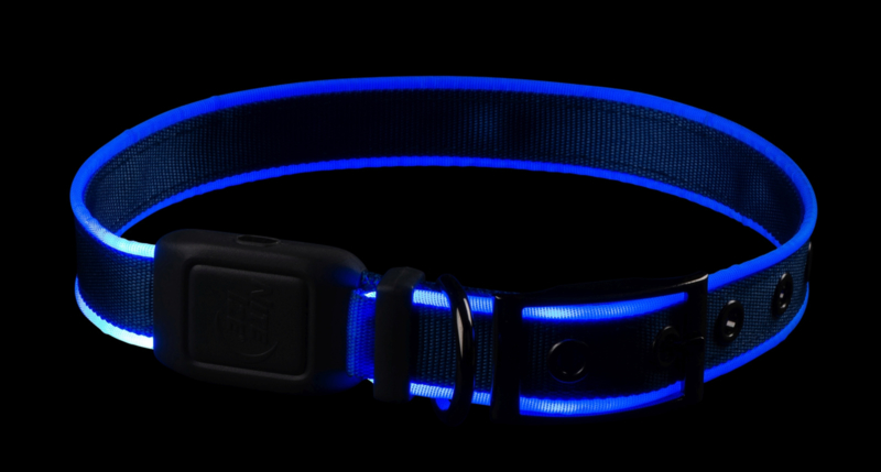 Lichtgevende LED Licht Halsband Blauw Large XL
