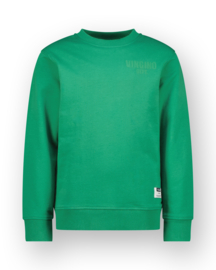 Vingino sweater groen