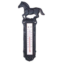 Thermometer van gietijzer, groot