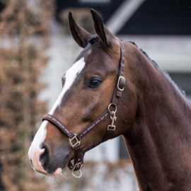 Halster HVPNena- Bruin