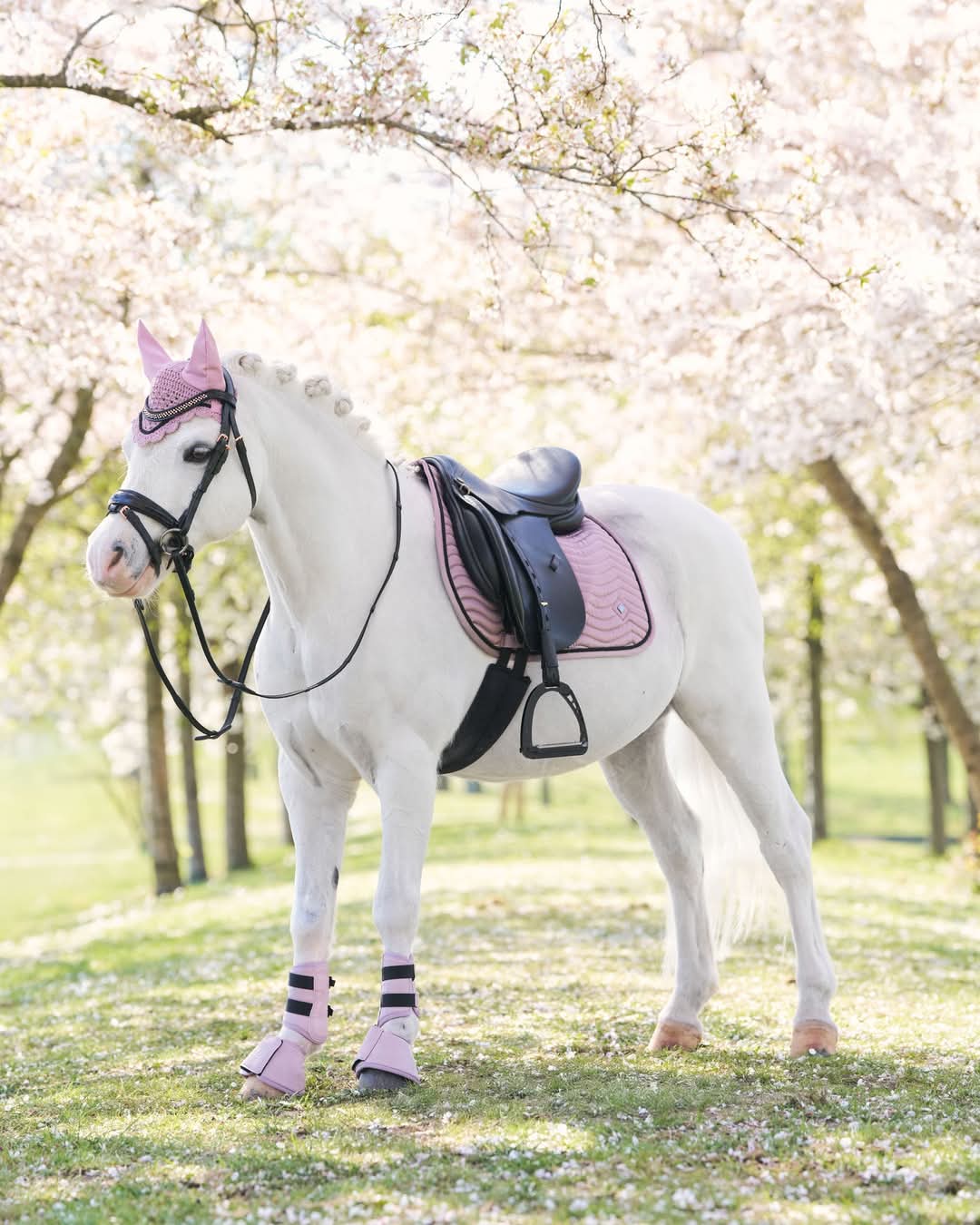Luxe Voordeel Set Rebel Ballerina Shet!