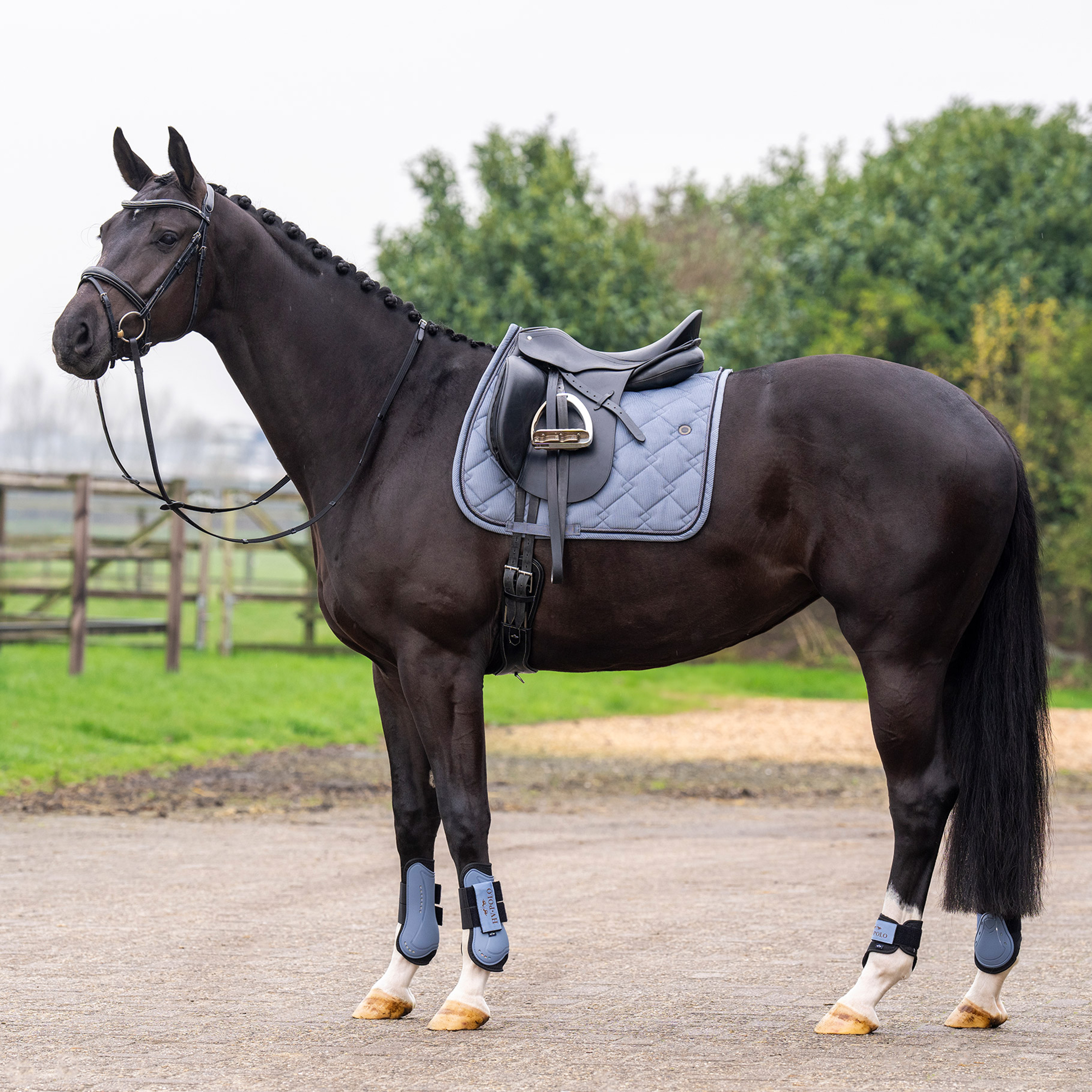 Saddlepad HVPDana-Dark mist bleu