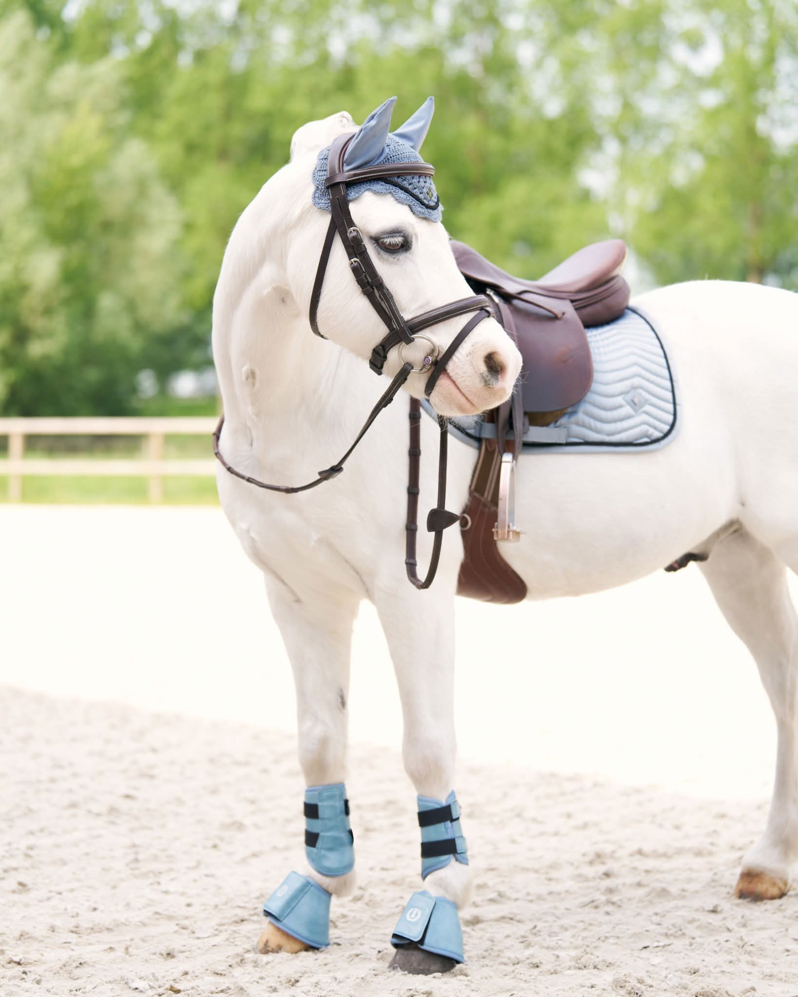 Luxe Voordeel Set Rebel moonstone Shet!