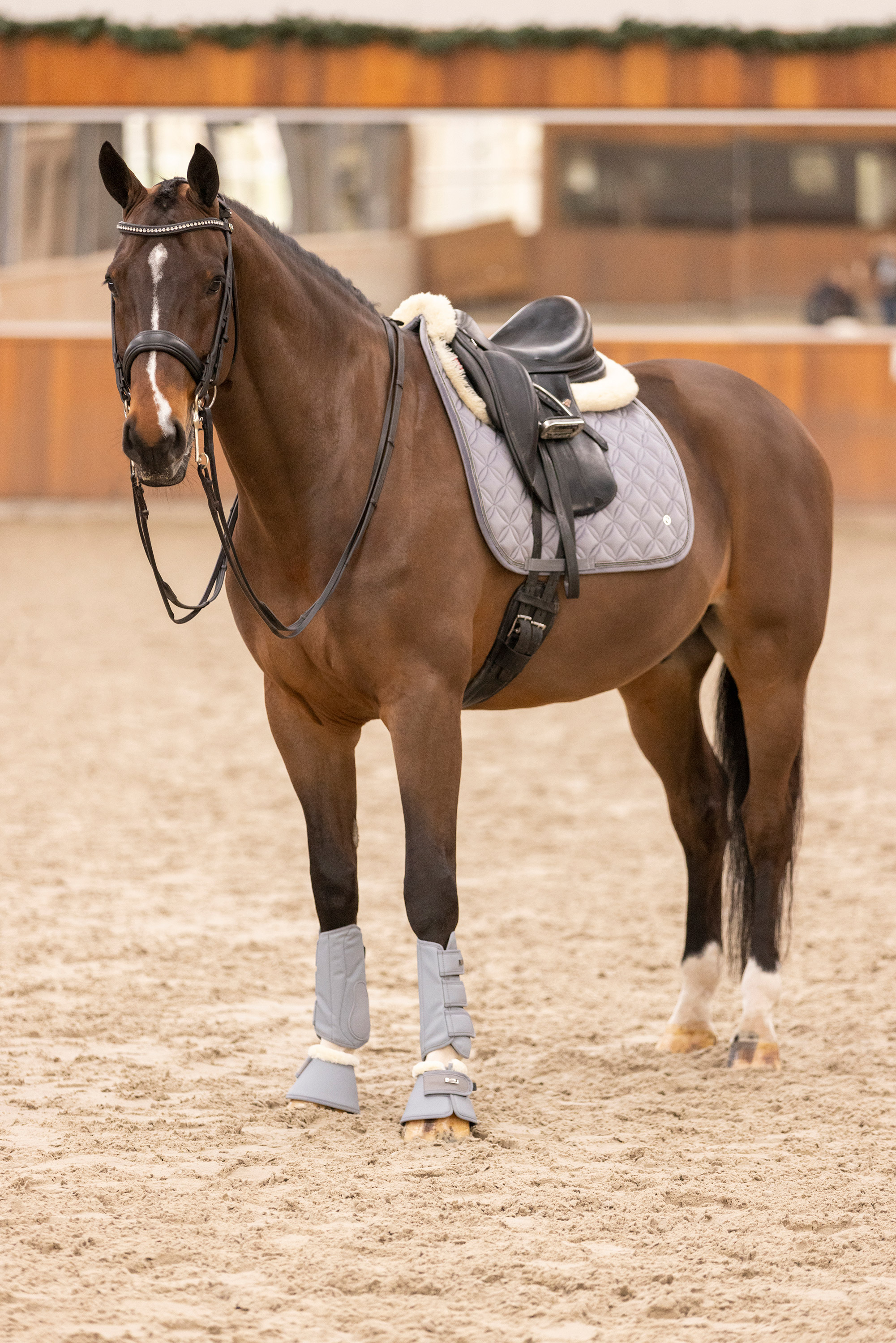 Dressuur peesbeschermers HVPFemke- cloud grey