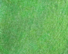 Parelmoerpoeder groen