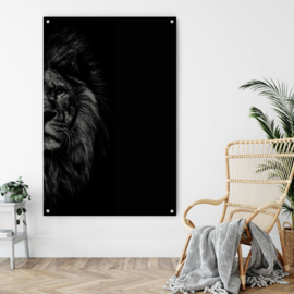 Zwart wit portret van een leeuw