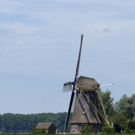 Tuinposter doorkijk naar weiland