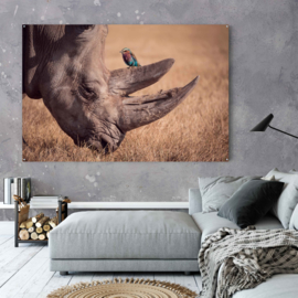 Neushoorn met vogel in natuurlijke omgeving