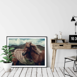 Icelandic horse poster