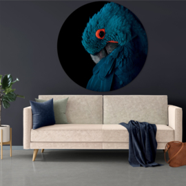 Rond schilderij van de blauwe ara papegaai