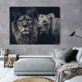 Lion couple