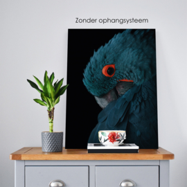 ​Dubbelzijdige kunst: Dark zebra met de blauwogige panter