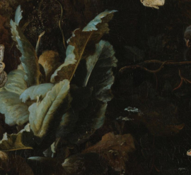 Dieren en planten van Melchior d'Hondecoeter