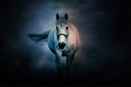 Wit paard tegen sterrenhemel